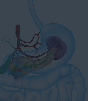 Gallbladder, Pancreas and Bile Duct Diseases